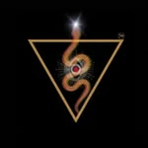 @shaktisrise profile image