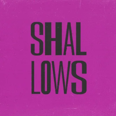 @shallows.studio profile image