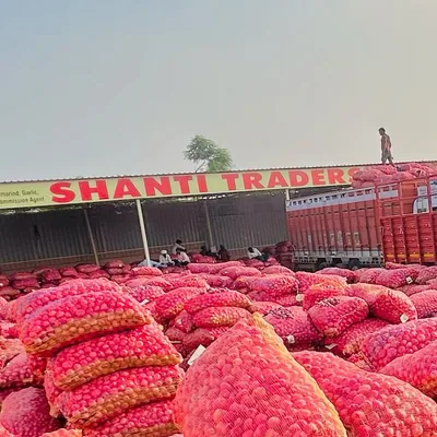 @shanti_onion_company profile image