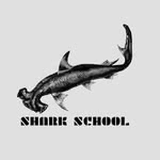 @shark_school_ire profile image