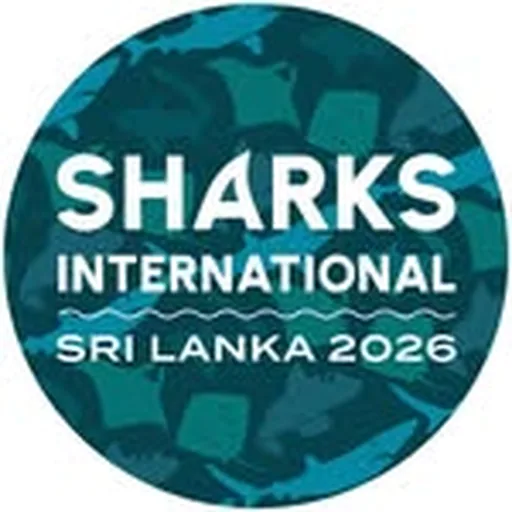 @sharks.international profile image