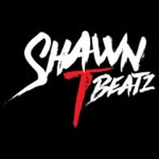 @shawntbeatz profile image