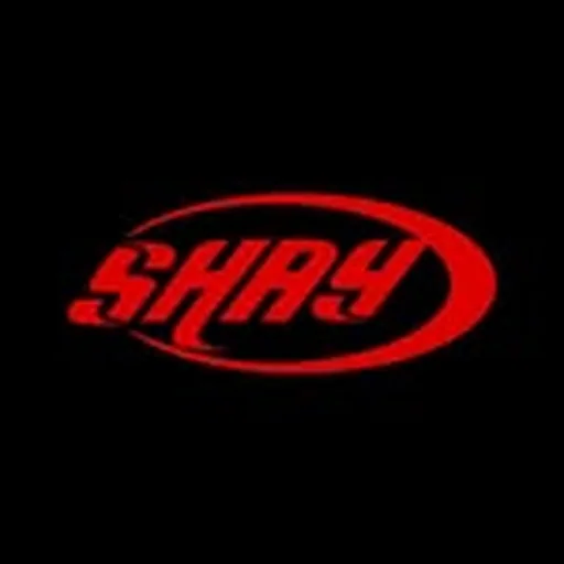@shayizi profile image