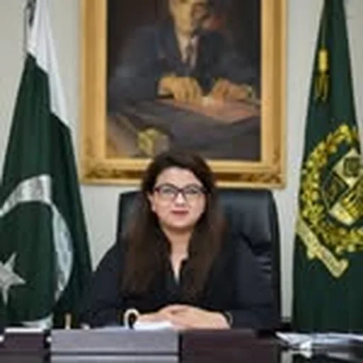@shazafkhawaja profile image