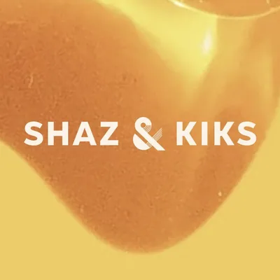 @shazandkiks profile image