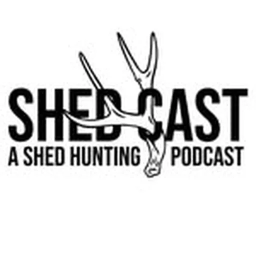 @shedcast_ profile image