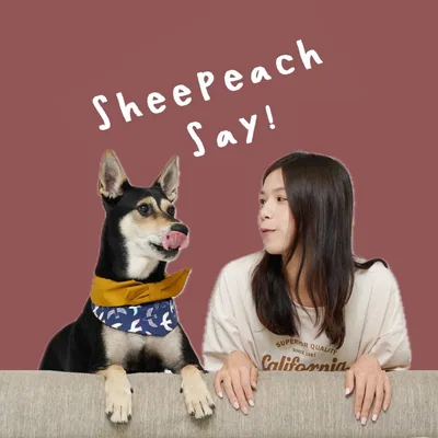 @sheepeach.dogtrainer profile image