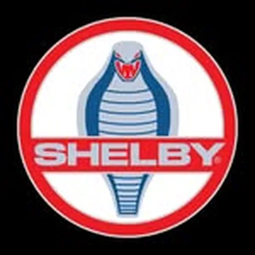 @shelbyamerican profile image