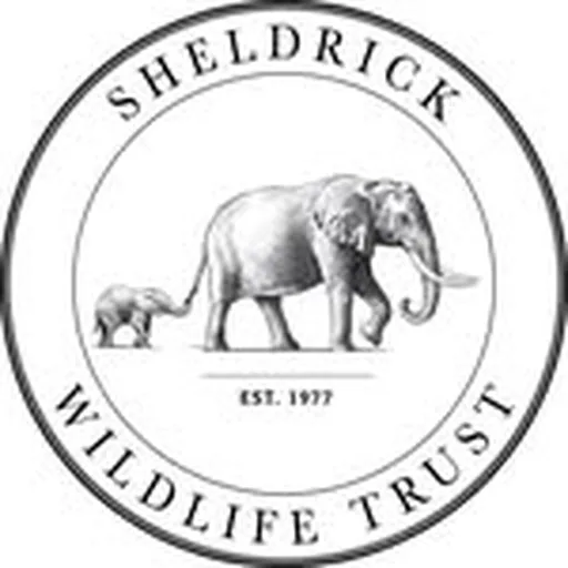 @sheldricktrust profile image
