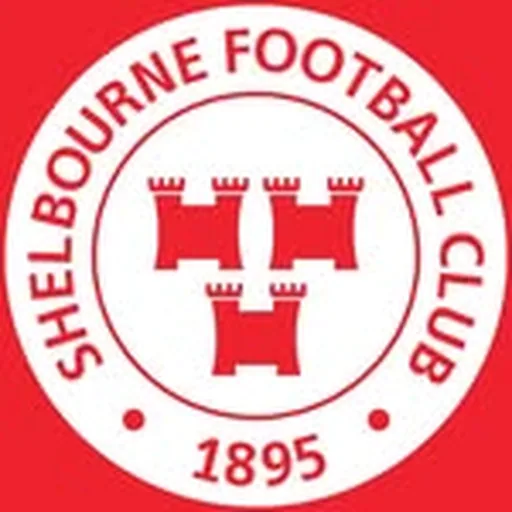 @shelsfc profile image