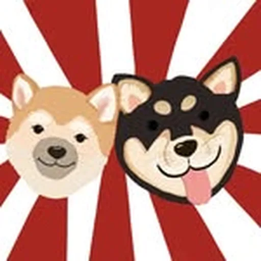 @shiba.haru.uni profile image