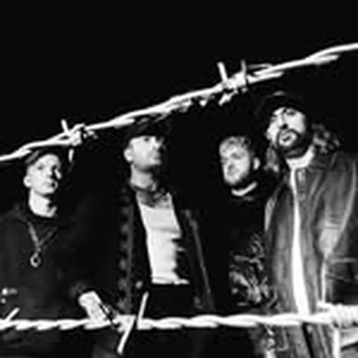@shieldsuk profile image