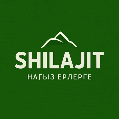 @shilajit.kz profile image