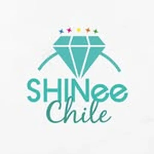 @shineechile profile image