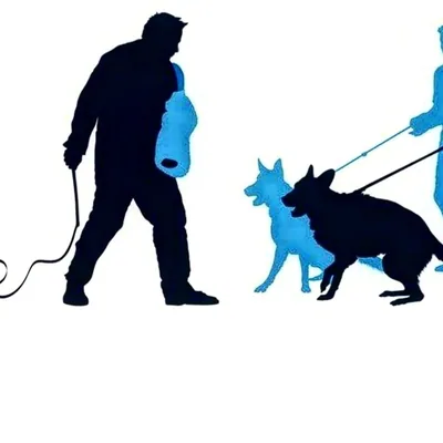 @shiraz.dogtrainer profile image