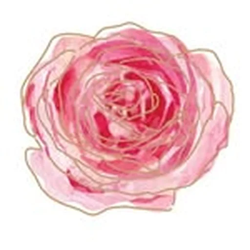 @shivarosebeauty profile image