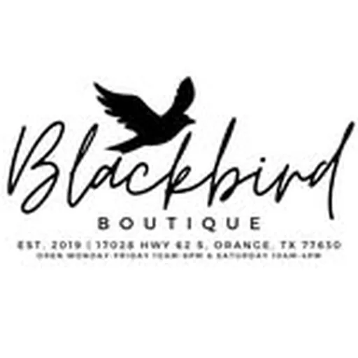 @shop.blackbirdboutique profile image