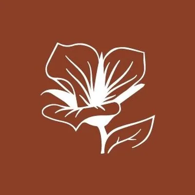 @shopmvvillage profile image