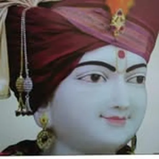 @shreejifood profile image