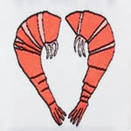 @shrimps profile image