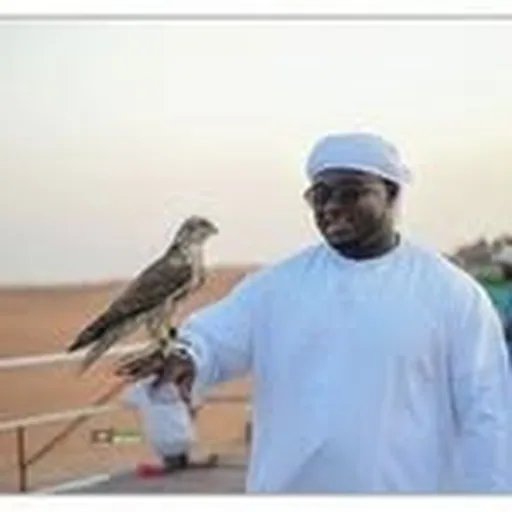 @shurlaybor profile image