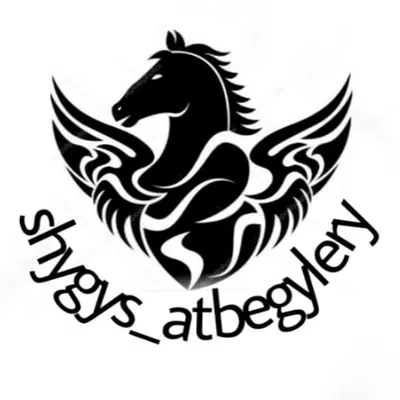 @shygys_atbegylery profile image
