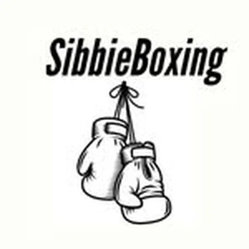 @sibbiebxing profile image