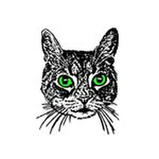 @sidthecat profile image