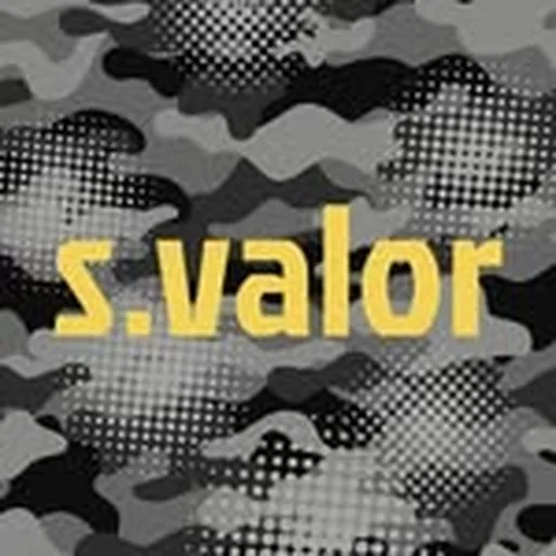 @siebert.valor profile image
