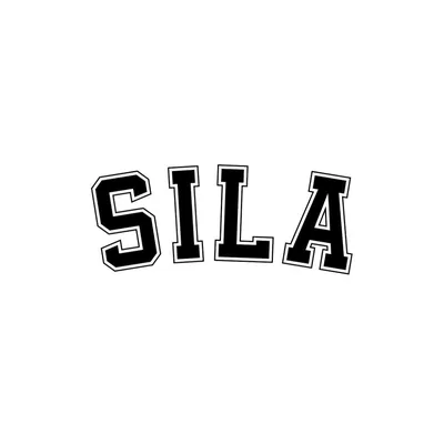 @silasveta profile image