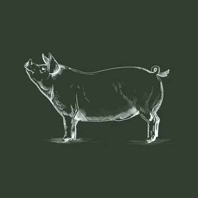 @silchesterfarm profile image