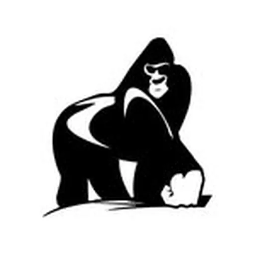 @silverbackbboyevents profile image