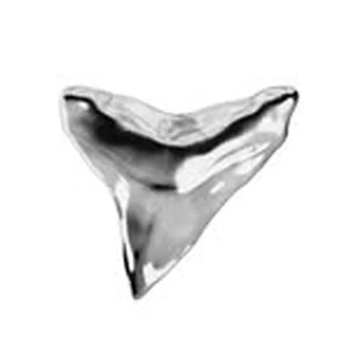 @silvertooth.agency profile image