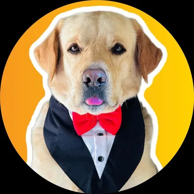 @simba_thebraveboy profile image