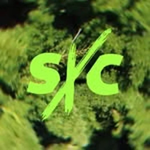 @sinxcensura profile image