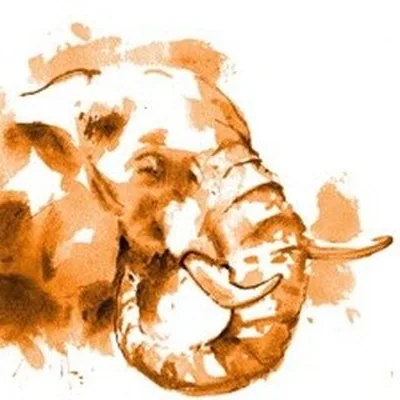 @sirikoilodge profile image