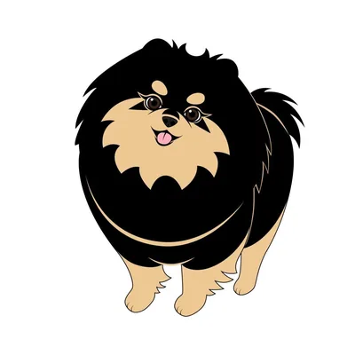 @siriusalpha.au profile image