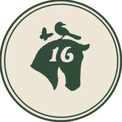 @sixteencypress profile image