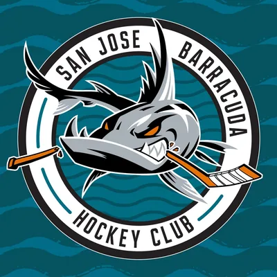 @sjbarracuda profile image