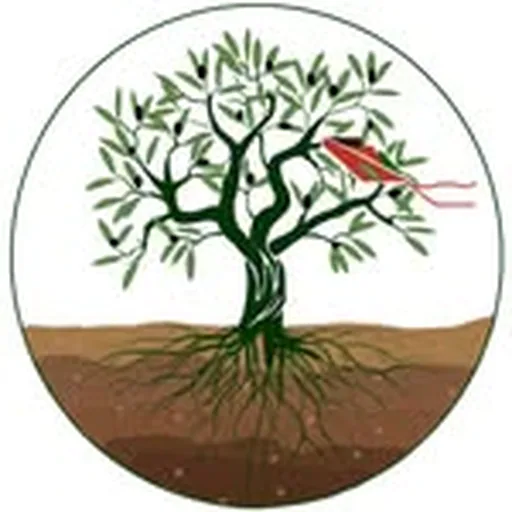 @sjpatucla profile image