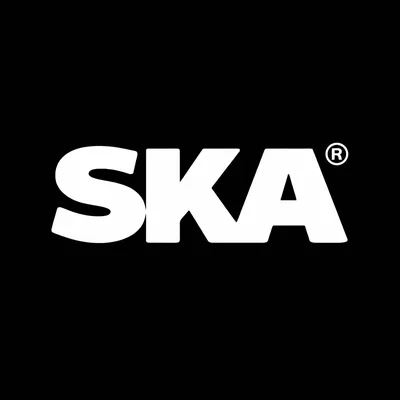 @skaskaterock profile image