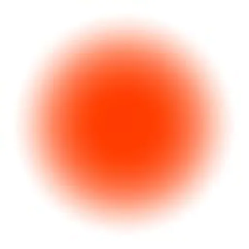 @skd.museum profile image