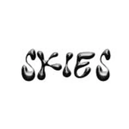 @skies.shots profile image