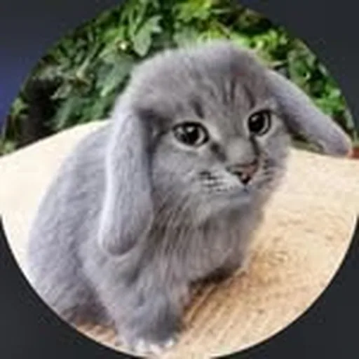 @skinopage profile image