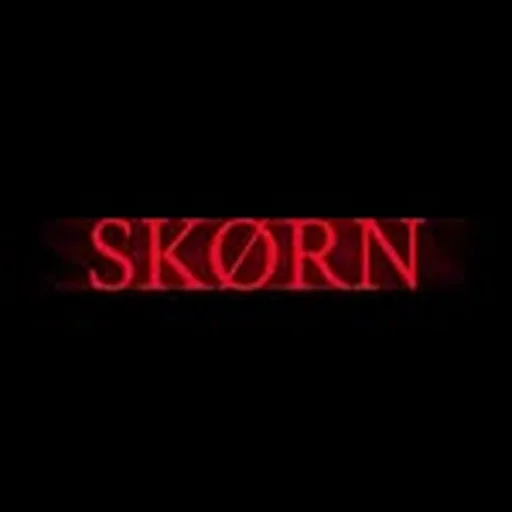 @skorn.ent profile image