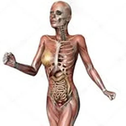 @skullsqwat profile image