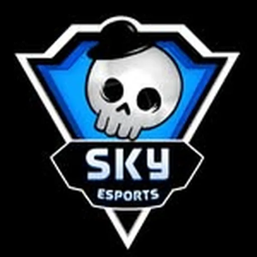 @skyesportsgaming profile image