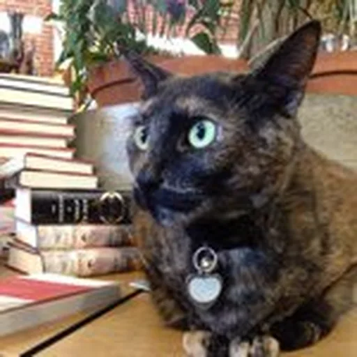 @skylightbooks profile image