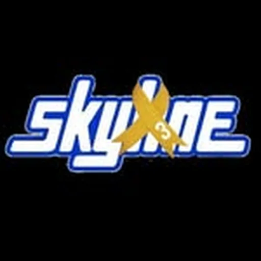 @skylinejuniors profile image