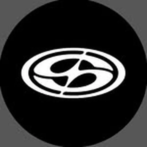 @skymostudio profile image